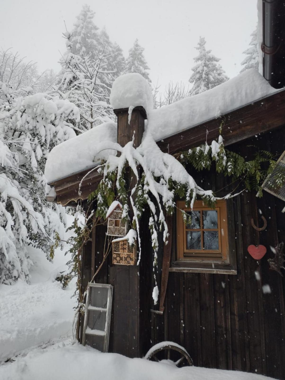 Binderhaeusl Villa Thiersee Dış mekan fotoğraf